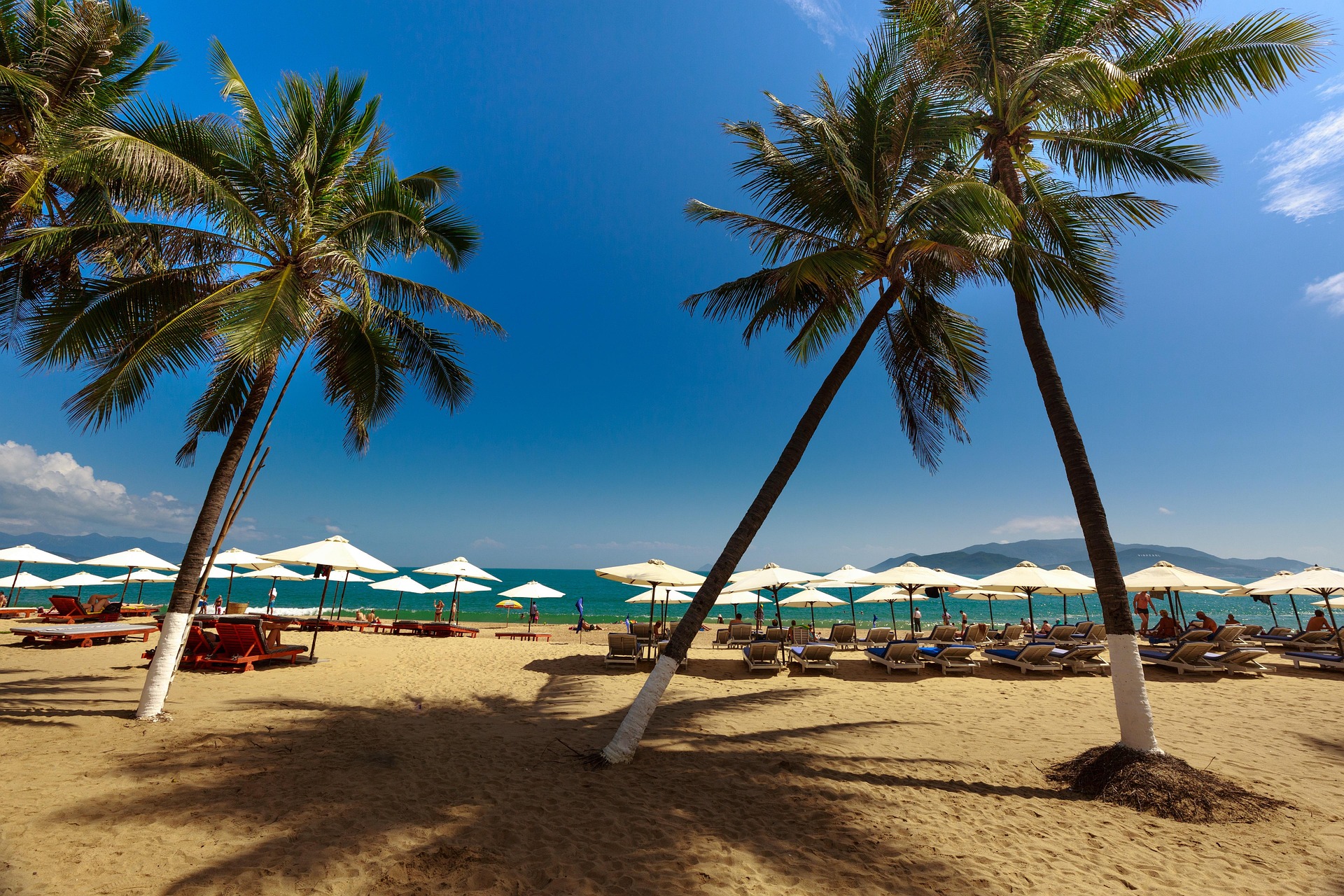 Bãi biển, beach, biển xanh, blue sea, cây dừa, coconut tree - Quangpraha 2