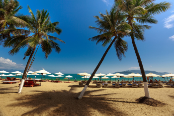 Bãi biển, beach, biển xanh, blue sea, cây dừa, coconut tree - Quangpraha 2