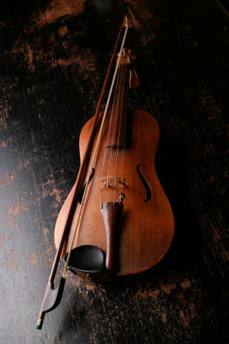 Violin, đàn vĩ cầm vĩ cầm, violin, vi ô lông, nhạc cụ, instrument, âm nhạc, music, giải trí, entertainment 7