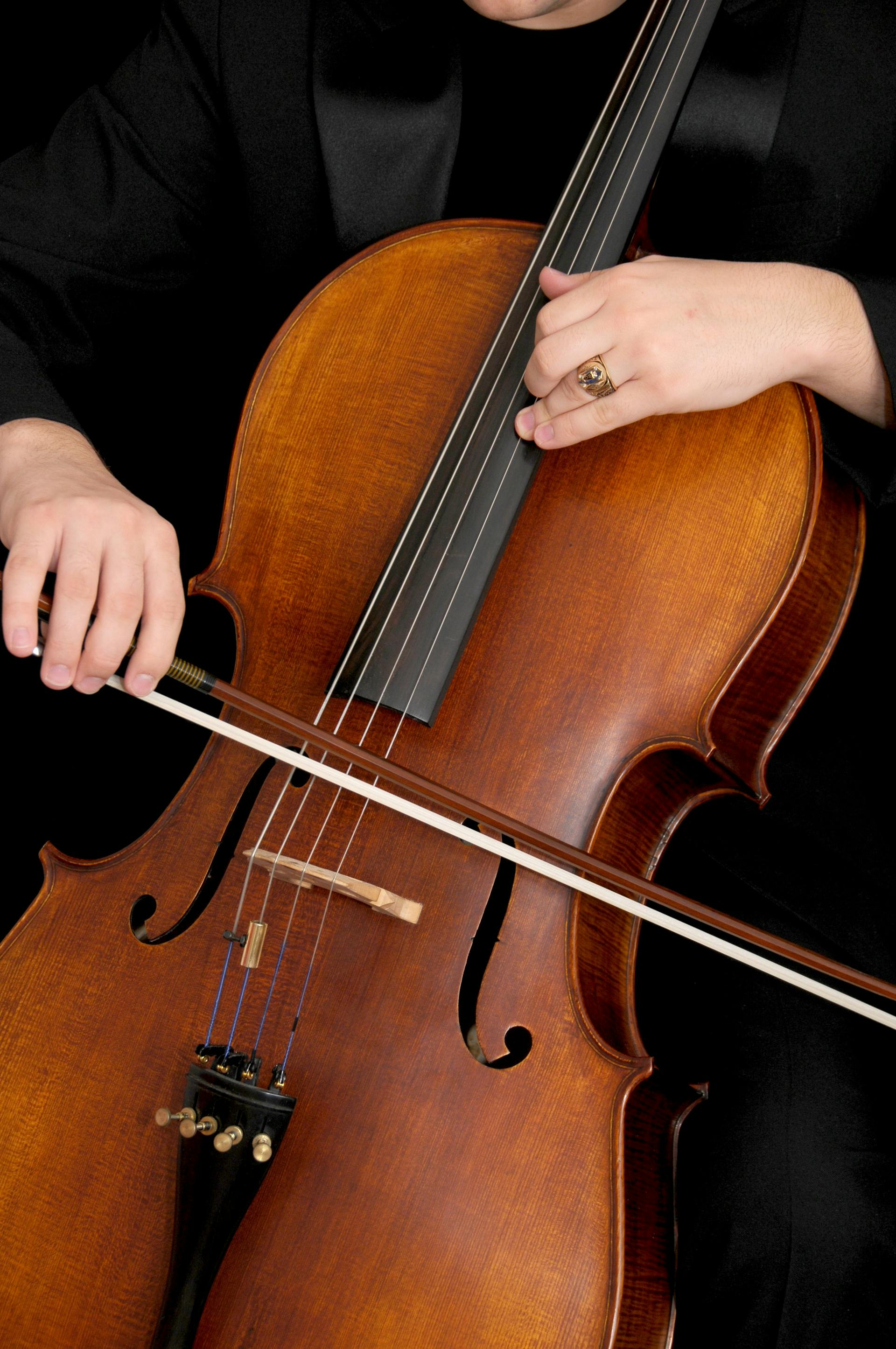 Violin, đàn vĩ cầm vĩ cầm, violin, vi ô lông, nhạc cụ, instrument, âm nhạc, music, giải trí, entertainment 6