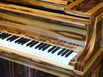 Piano, đàn piano, đàn, instrument, âm nhạc, music, giải trí, entertainment 29
