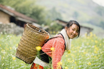 Cô gái miền núi, ethnic girl, nông thôn, rural, gùi tre, bamboo basket, đồng hoa, flower field, truyền thống, traditional - trilemedia