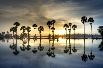 Sông, river, hoàng hôn, sunset, tree, cây, hình nền, nền, background- Quangpraha