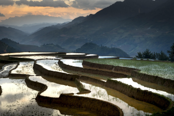 Ruộng bậc thang, Terraced rice fields, hình nền, nền, background - Quangpraha