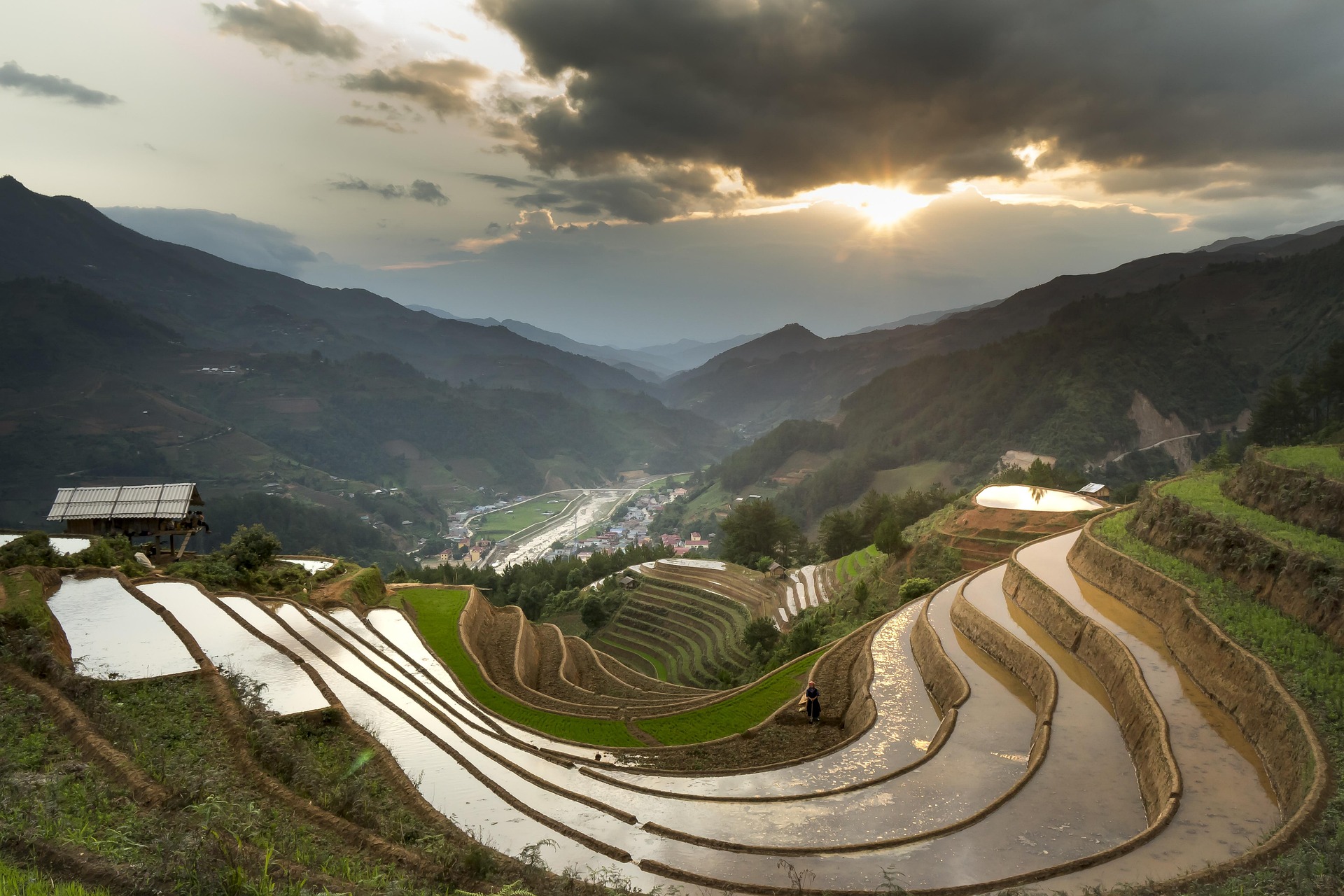 Ruộng bậc thang, Terraced rice fields, hình nền, nền, background - Quangpraha