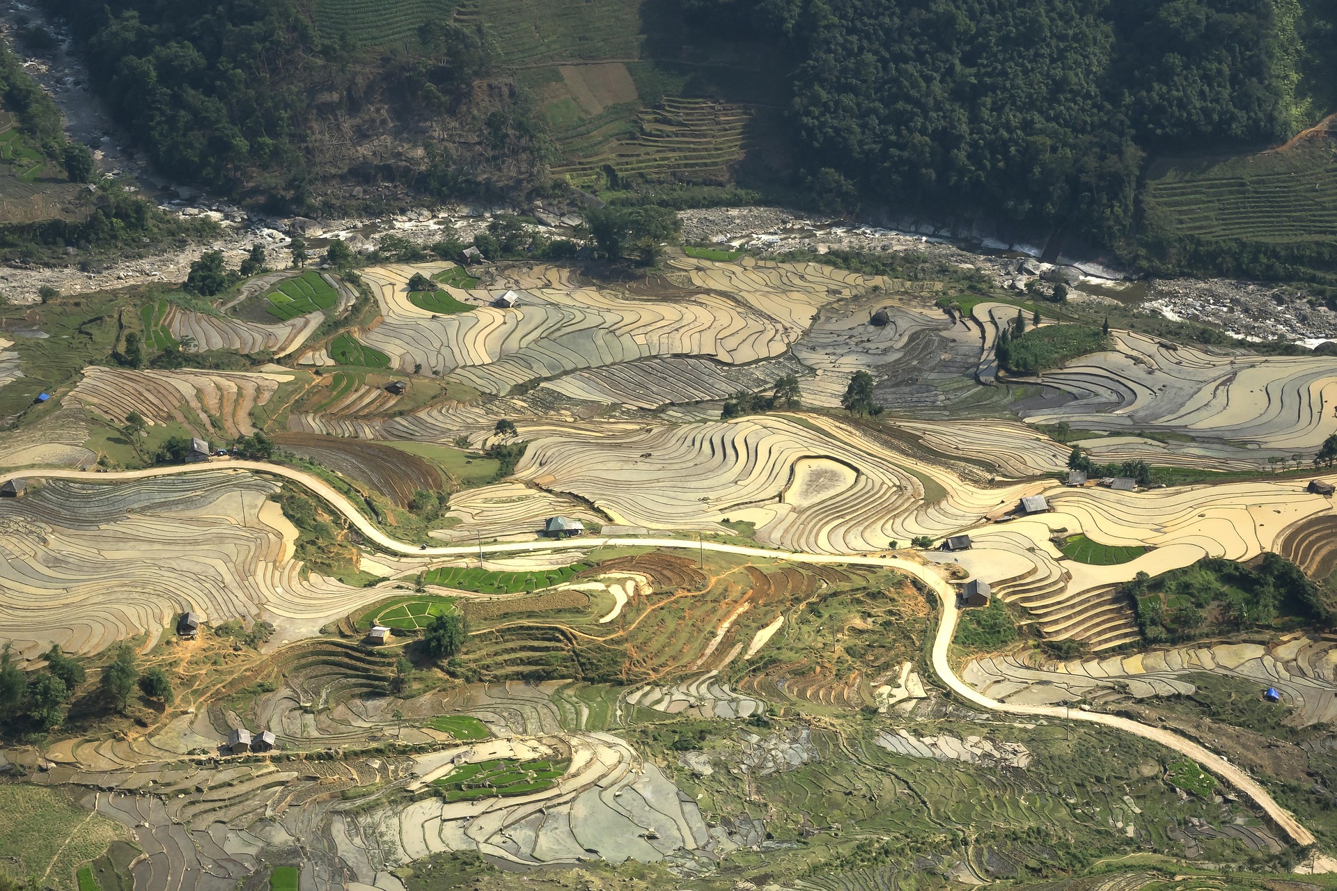 Ruộng bậc thang, Terraced rice fields, hình nền, nền, background - Quangpraha