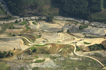 Ruộng bậc thang, Terraced rice fields, hình nền, nền, background - Quangpraha