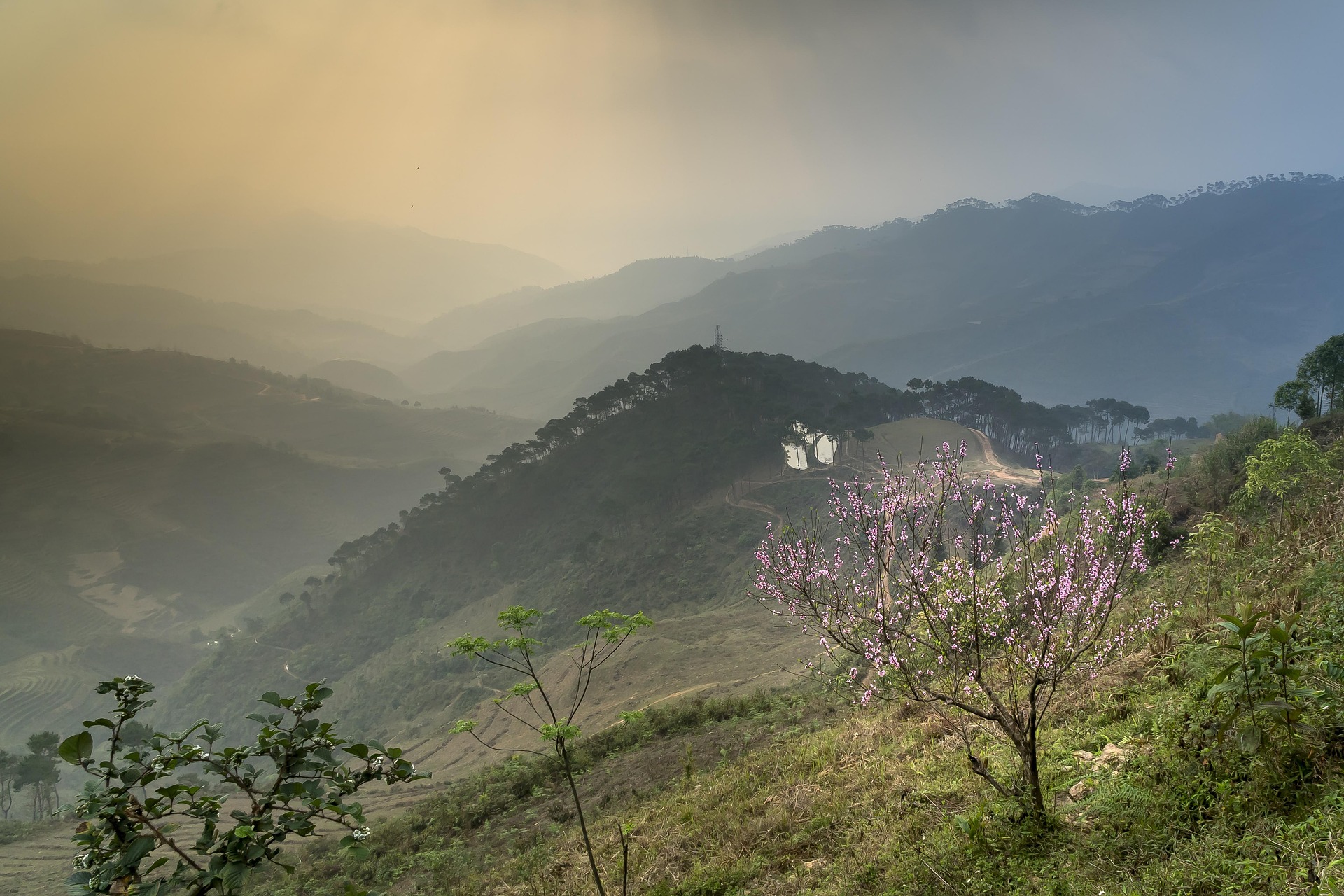 Núi, rừng, đèo, Mountains, forests, passes, hình nền, nền, background -Quangpraha 2