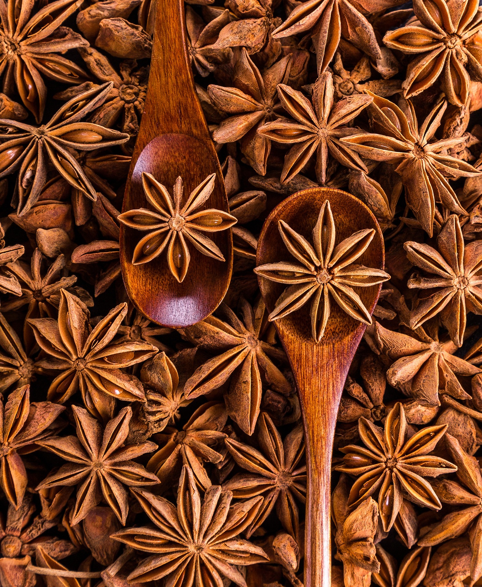 Quế, cinnamon, thảo quả, star anise, spice, gia vị, natural, - Daria-Yakovleva 2