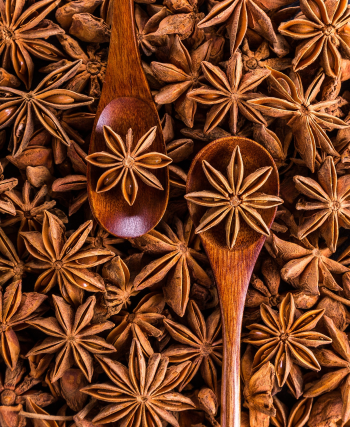 Quế, cinnamon, thảo quả, star anise, spice, gia vị, natural, - Daria-Yakovleva 2