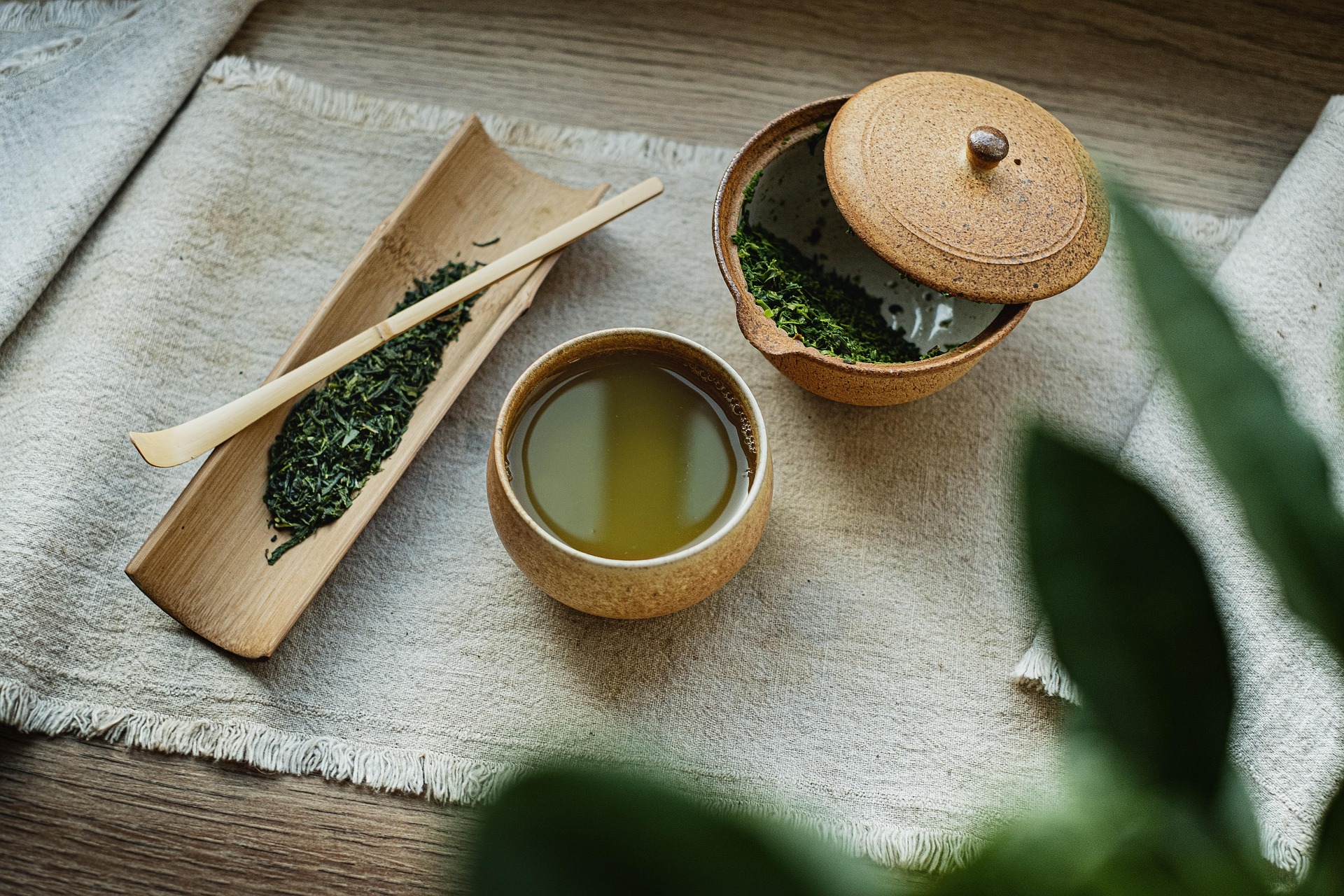 Lá trà, tea leaves, thảo mộc, herbal, wood, gỗ,  trà xanh, green tea - mirkostoedter- mirkostoedter 2