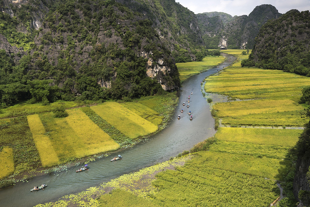 Tràng an, Trang An, cánh đồng lúa, rice field, núi, mountain- Quangpraha 1