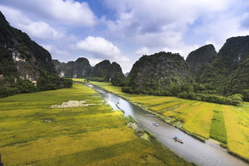 Tràng an, Trang An, cánh đồng lúa, rice field, núi, mountain- Quangpraha 2