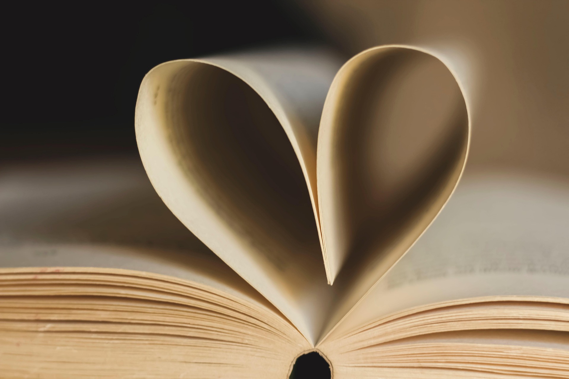 sách, book, tình yêu, love, trái tim, heart, trang giấy, paper pages- un-perfekt 1
