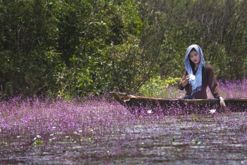 Cô gái, thuyền, girl, boat, hoa, flower,hình nền, nền, background -Quangpraha