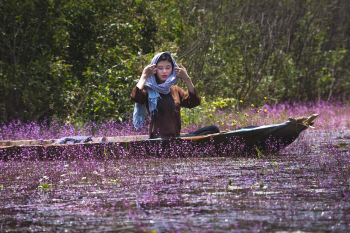 Cô gái, thuyền, girl, boat, hoa, flower,hình nền, nền, background -Quangpraha 1