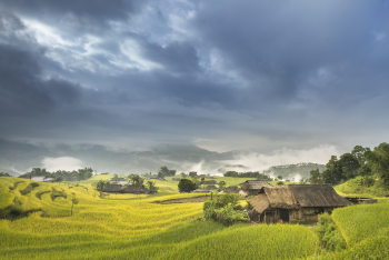 Ruộng bậc thang, terraced fields, lúa, rice, núi rừng, mountains- Quangpraha
