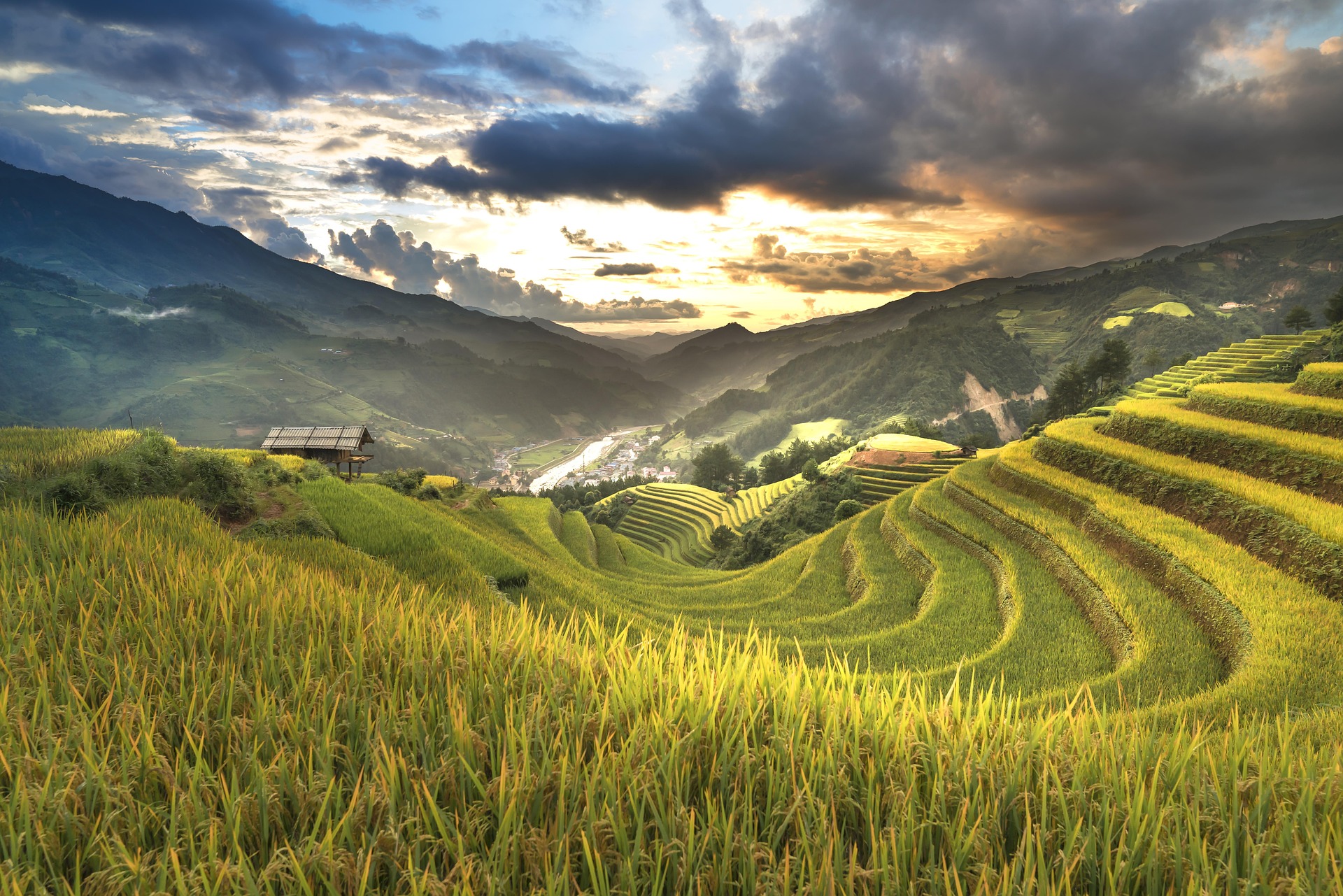 Ruộng bậc thang, terraced fields, lúa, rice, núi rừng, mountains- Quangpraha 2