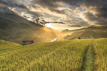 Ruộng bậc thang, terraced fields, lúa, rice, núi rừng, mountains- Quangpraha 3
