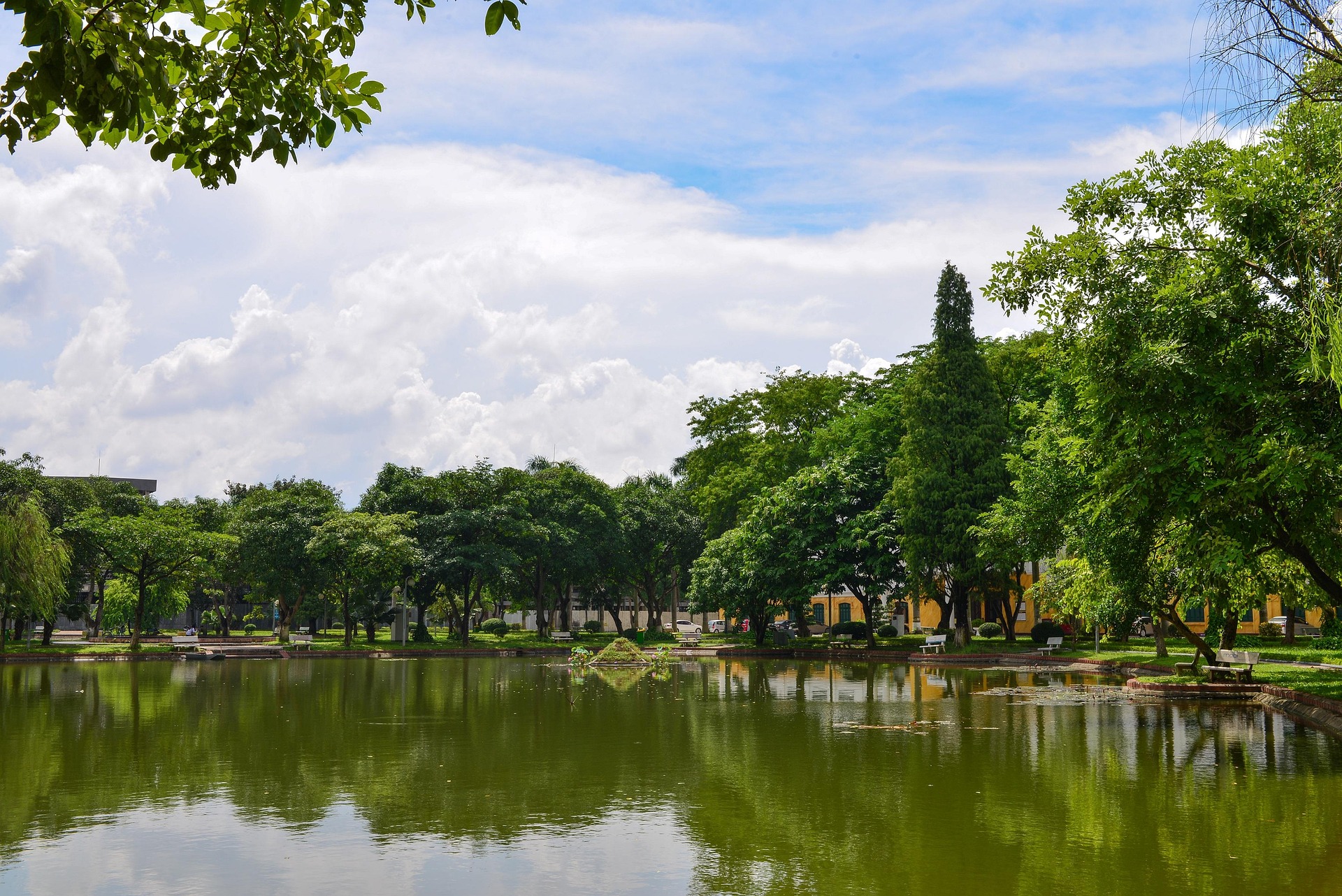 Sông,  River, cây, tree, hình nền, nền, background-56april