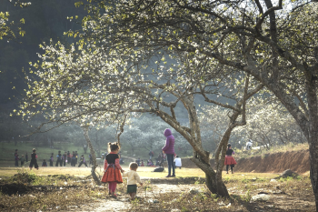 Em bé, trẻ em, vùng cao, Baby, children, highland,hình nền, nền, background -Quangpraha 2