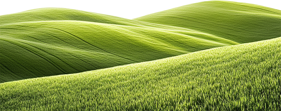 Cỏ, bãi bỏ, thiên nhiên, grass, lawn, nature
