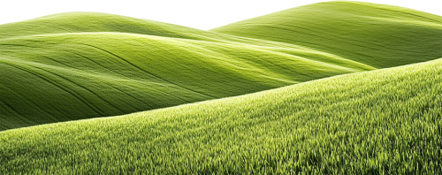 Cỏ, bãi bỏ, thiên nhiên, grass, lawn, nature