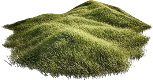 Cỏ, bãi bỏ, thiên nhiên, grass, lawn, nature 1