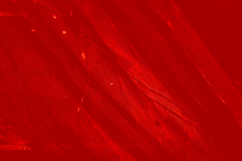 Nền đỏ, red, red background, hình nền, nền, background