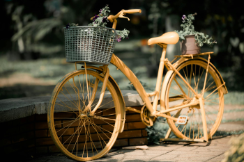 Xe đạp, xe đạp thể thao, xe, bike, thể thao, sport - Bảo Minh