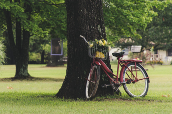 Xe đạp, xe đạp thể thao, xe, bike, thể thao, sport - Brett Sayles