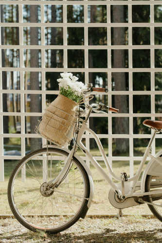 Xe đạp, xe đạp thể thao, xe, bike, thể thao, sport - cottonbro studio
