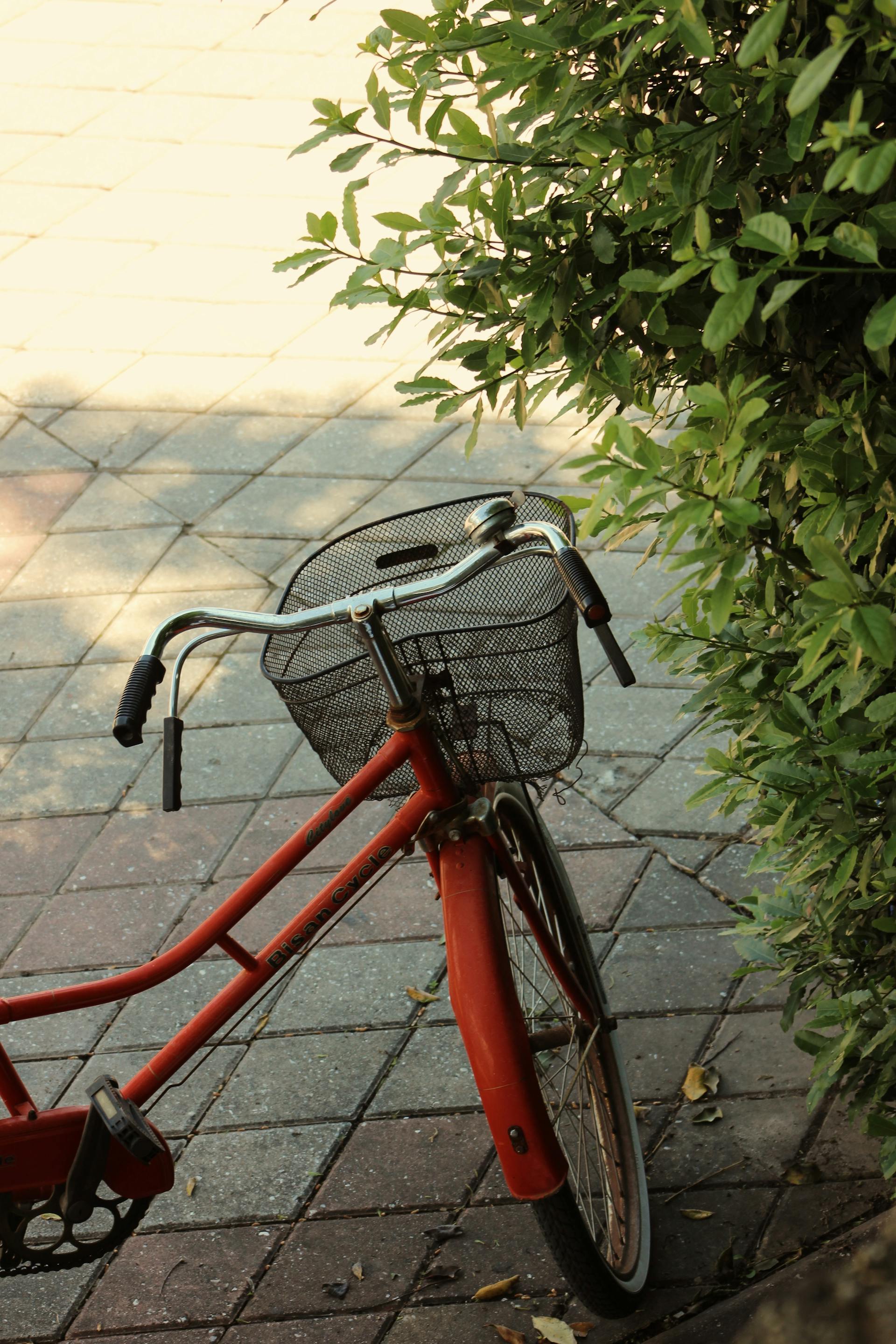 Xe đạp, xe đạp thể thao, xe, bike, thể thao, sport - Kader Azra Namuslu