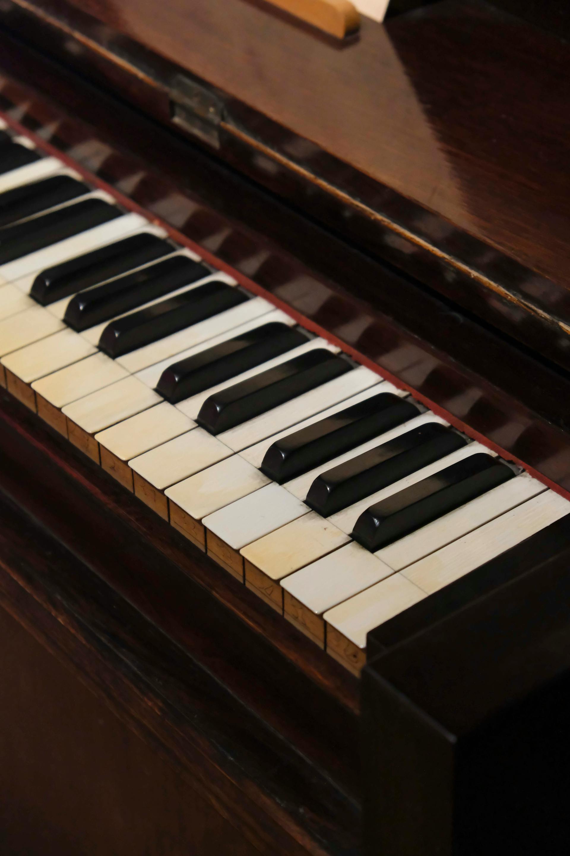Piano, đàn piano, đàn dương cầm, dương cầm, giải trí, entertainment - Merve Nur Türker