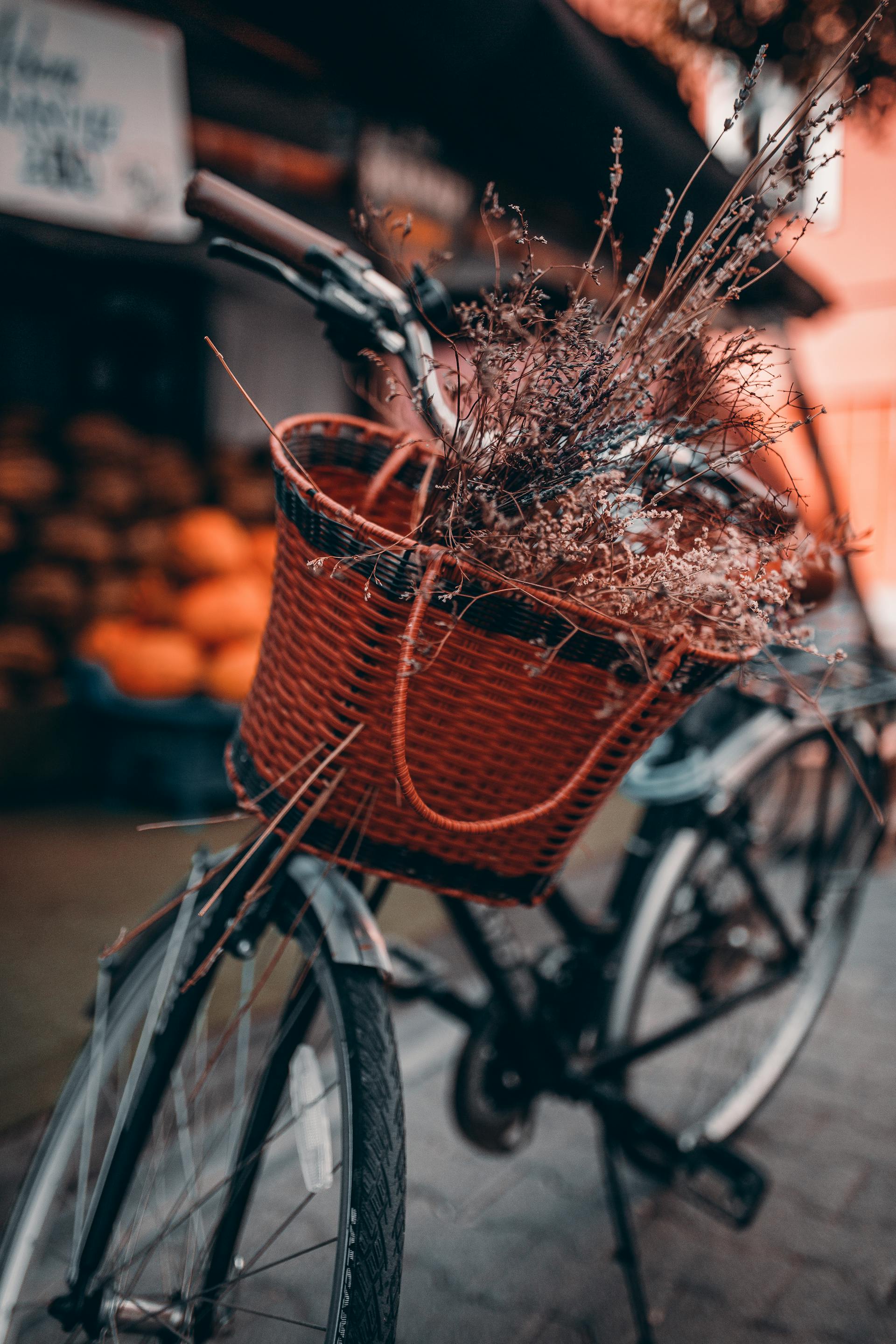Xe đạp, xe đạp thể thao, xe, bike, thể thao, sport - Musa Ortaç