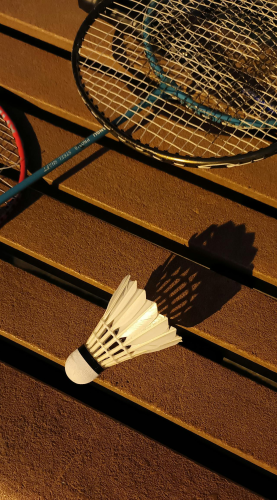 Cầu lông, quả cầu, badmintone, vợt cầu lông, badminton racket, sport, thể thao  - tim