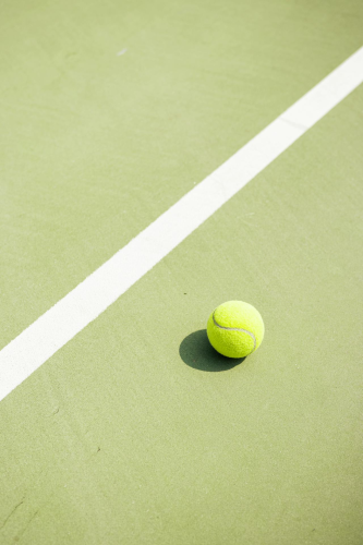 Tennis, quả bóng tennis, lưới, net, court, sân, sport, thể thao - Alan Macías
