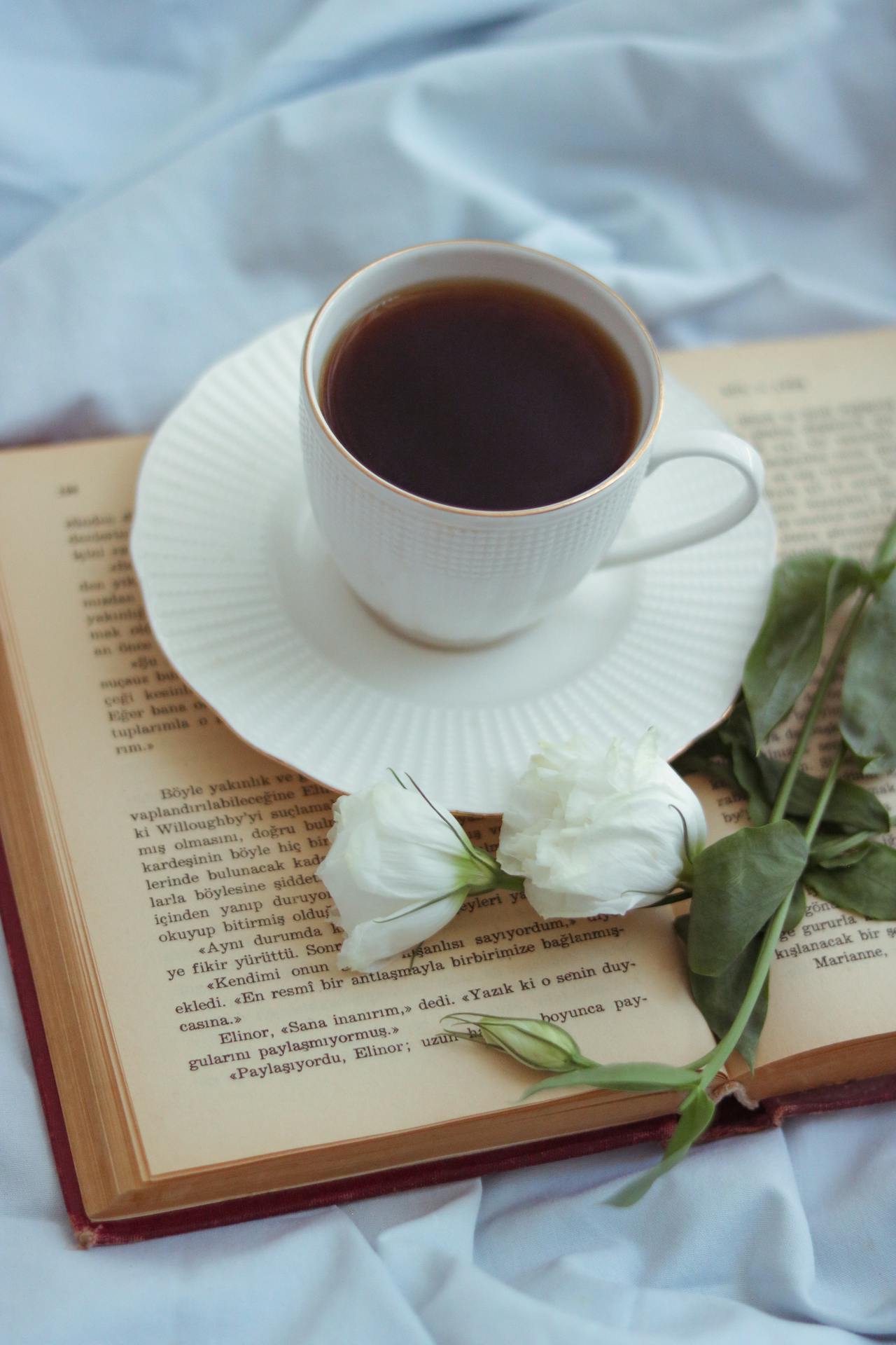 Coffee, cà phê, glass mug, cốc thủy tinh, book, sách, rose, hoa hồng, bed, giường - Feyza Daştan 1