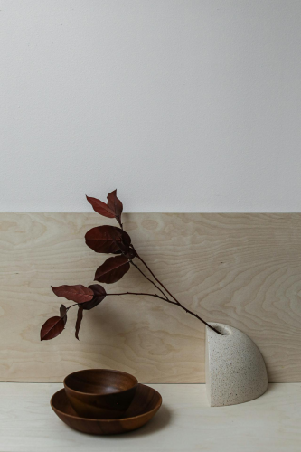 Dĩa gỗ, wooden plate, bình hoa, container, bát gỗ, wooden bowl, kitchen, dụng cụ bếp - Cup of Couple 1