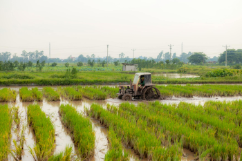 Máy cày, tractor, nông dân, farmer, cánh đồng, field, ruộng lúa, rice paddy, cấy lúa, rice planting, nông nghiệp, agriculture - HONG SON