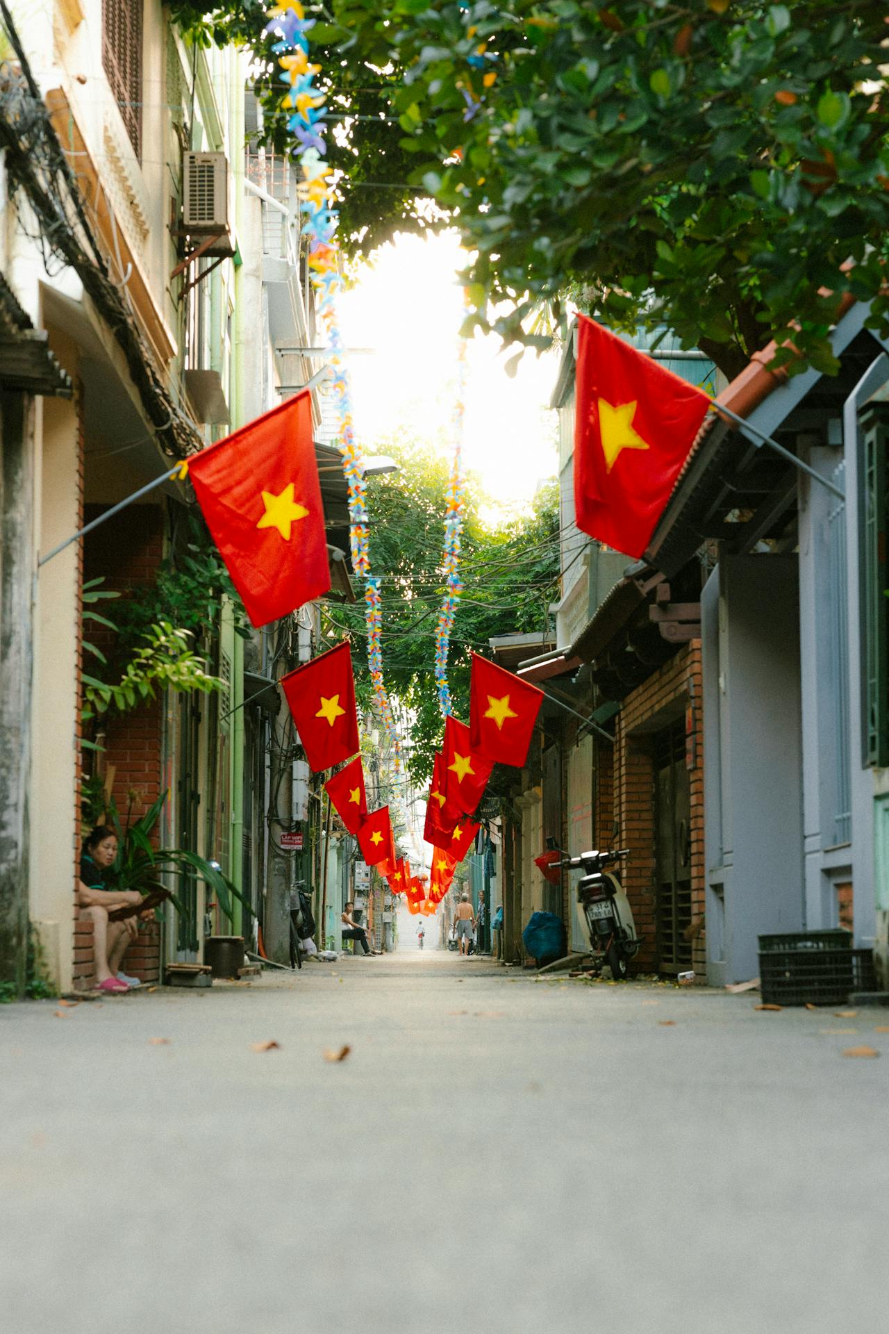 Lá cờ Việt nam, flag, Hà Nội, khung cảnh Việt, góc hẻm Hà Nội, hàng rong, Việt Nam - HONG SON 5