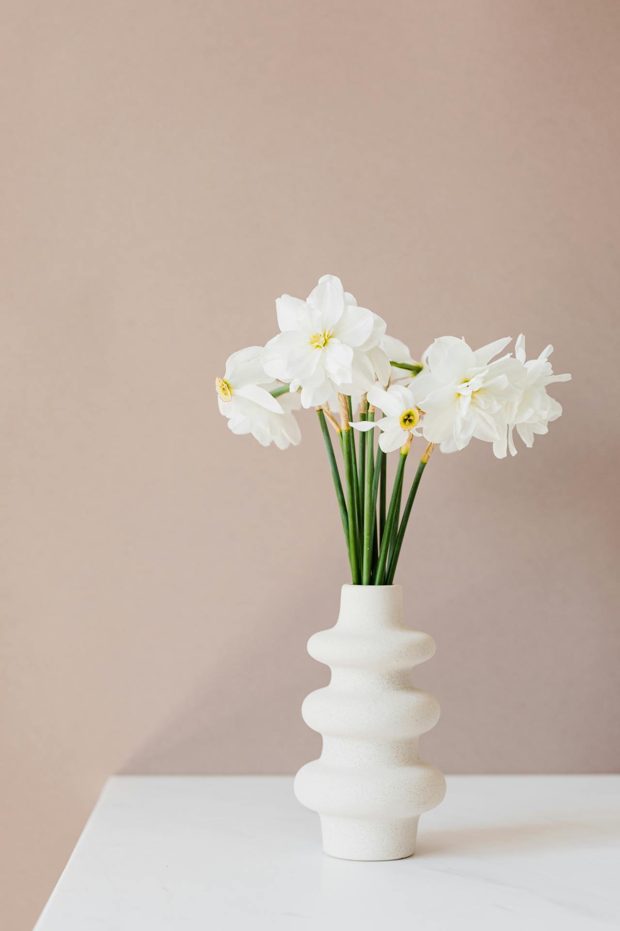 Ceramic vase, lọ gốm, bình hoa, hoa trắng, white flower, home decor, trang trí, minimalism, tối giản- Kaboompics.com 1