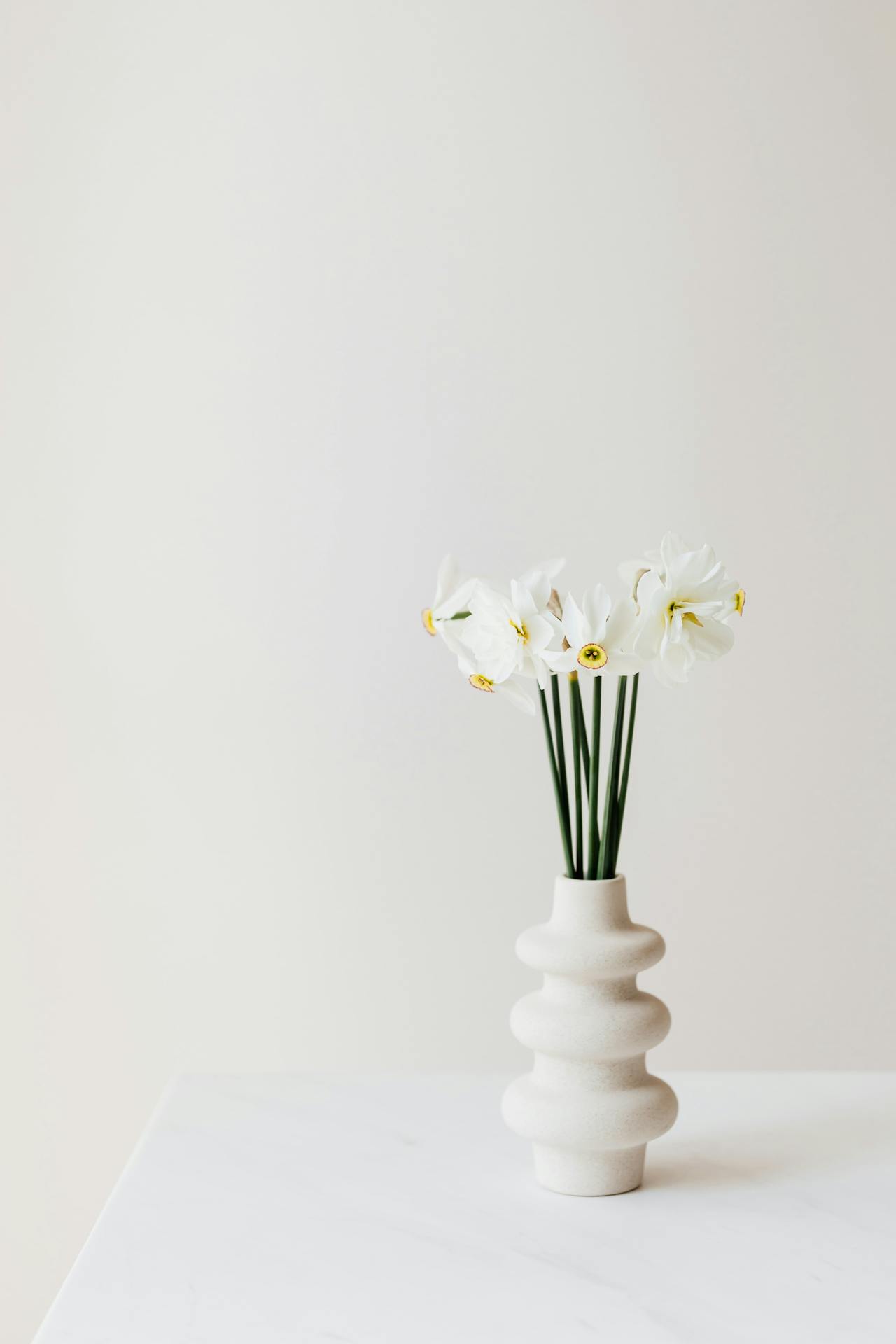 Ceramic vase, lọ gốm, bình hoa, hoa trắng, white flower, home decor, trang trí, minimalism, tối giản- Kaboompics.com 2