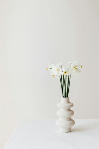 Ceramic vase, lọ gốm, bình hoa, hoa trắng, white flower, home decor, trang trí, minimalism, tối giản- Kaboompics.com 2