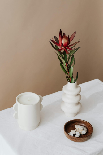 Ceramic vase, lọ gốm, bình hoa, ly sứ, hoa chuông protea, home decor, trang trí, minimalism, tối giản - Kaboompics.com 1