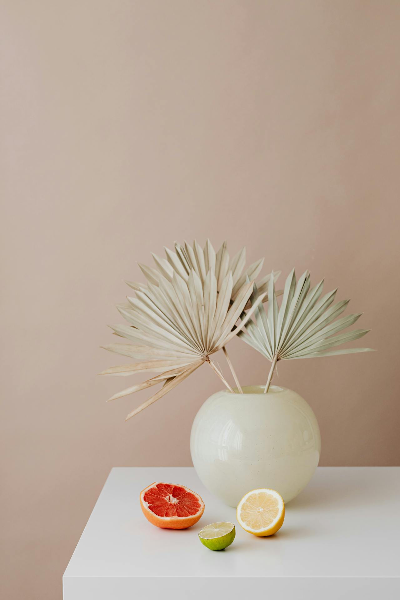 Lá cọ khô, dried palm, ceramic vase, lọ gốm, quả cam, orange, home decor, trang trí, minimalism, tối giản - Kaboompics.com