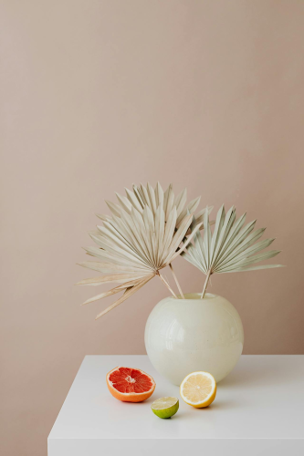 Lá cọ khô, dried palm, ceramic vase, lọ gốm, quả cam, orange, home decor, trang trí, minimalism, tối giản - Kaboompics.com