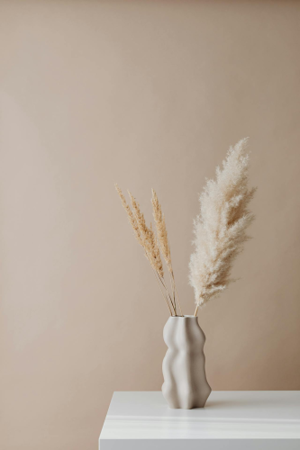 Cỏ lau, pampas grass, dried flower, hoa khô, ceramic vase lọ gốm, home decor, trang trí, minimalism, tối giản - Kaboompics.com