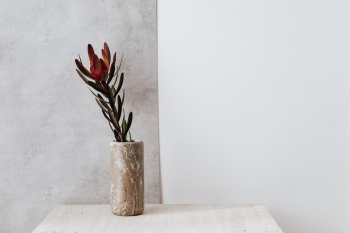 Ceramic vase, lọ gốm, bình hoa, hoa chuông protea, home decor, trang trí, minimalism, tối giản - Kaboompics.com 2
