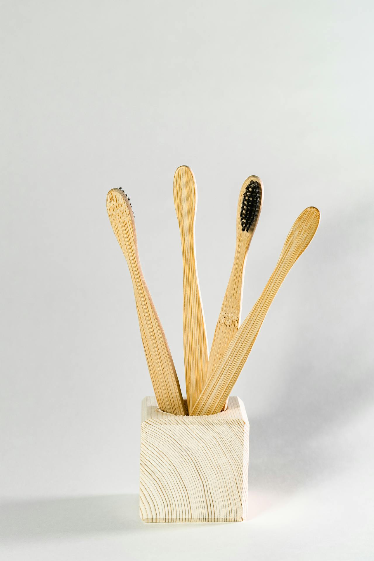 Bàn chải tre, bamboo toothbrush, eco friendly, thân thiện môi trường, gỗ, wooden - Mikhail Nilov
